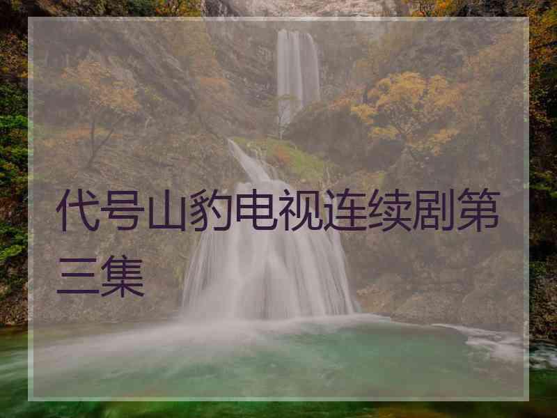 代号山豹电视连续剧第三集