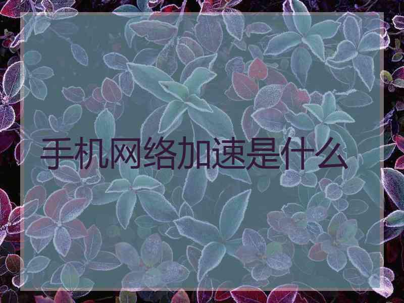 手机网络加速是什么