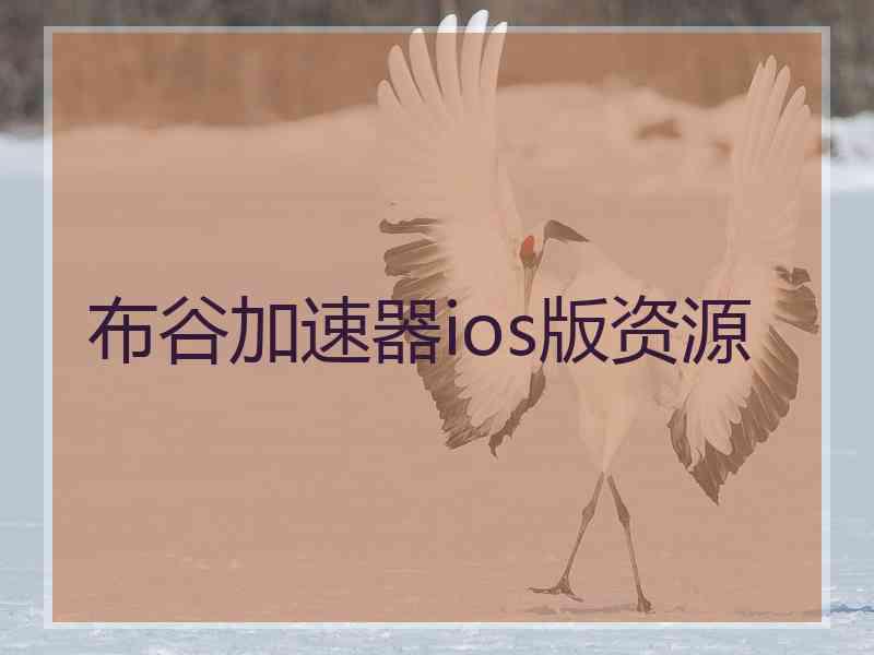 布谷加速器ios版资源