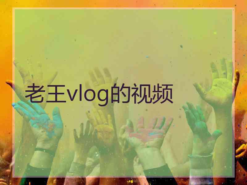 老王vlog的视频