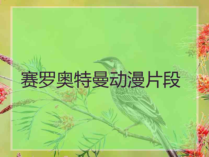 赛罗奥特曼动漫片段