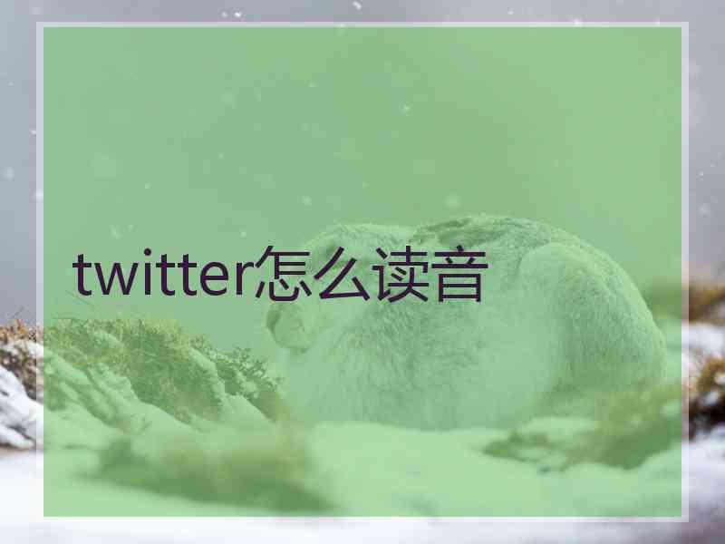 twitter怎么读音