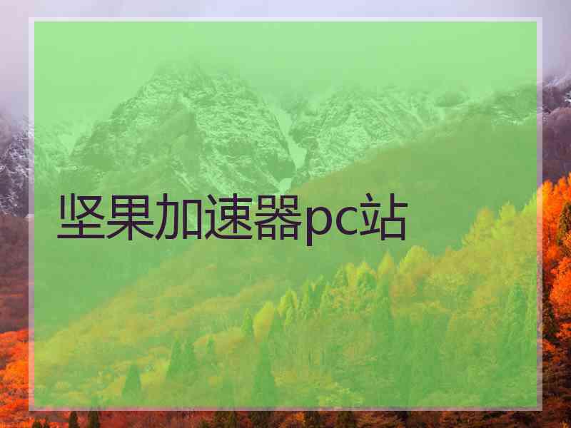 坚果加速器pc站