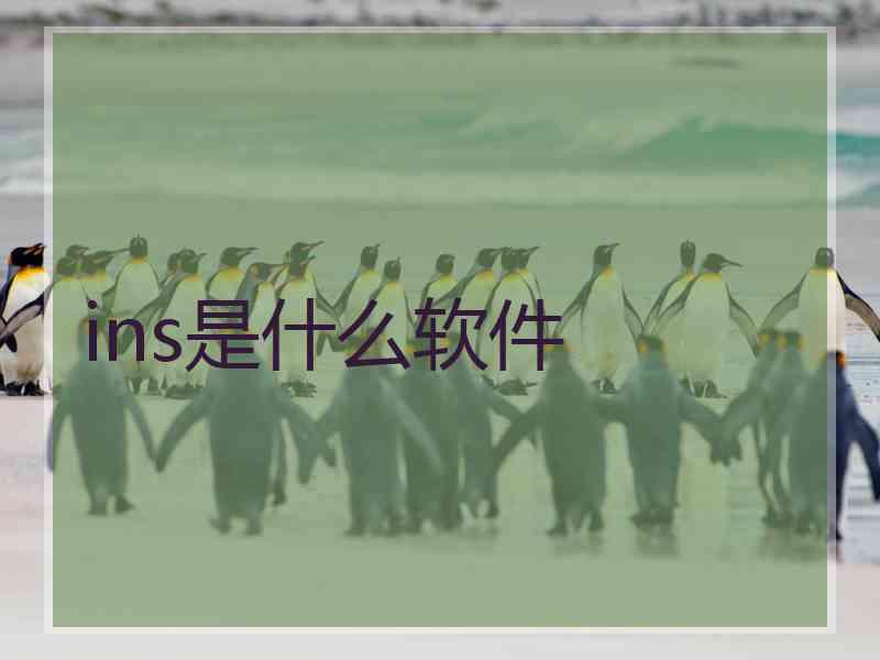 ins是什么软件