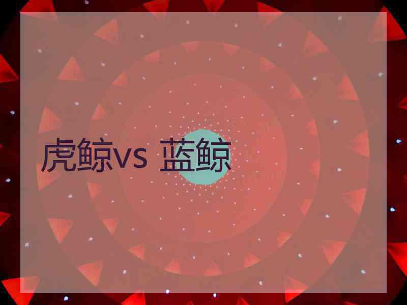 虎鲸vs 蓝鲸