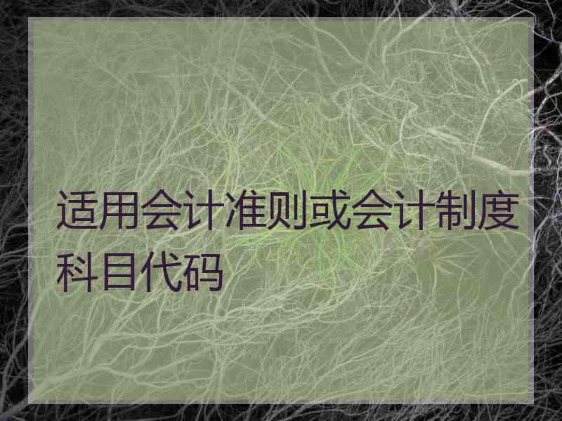 适用会计准则或会计制度科目代码