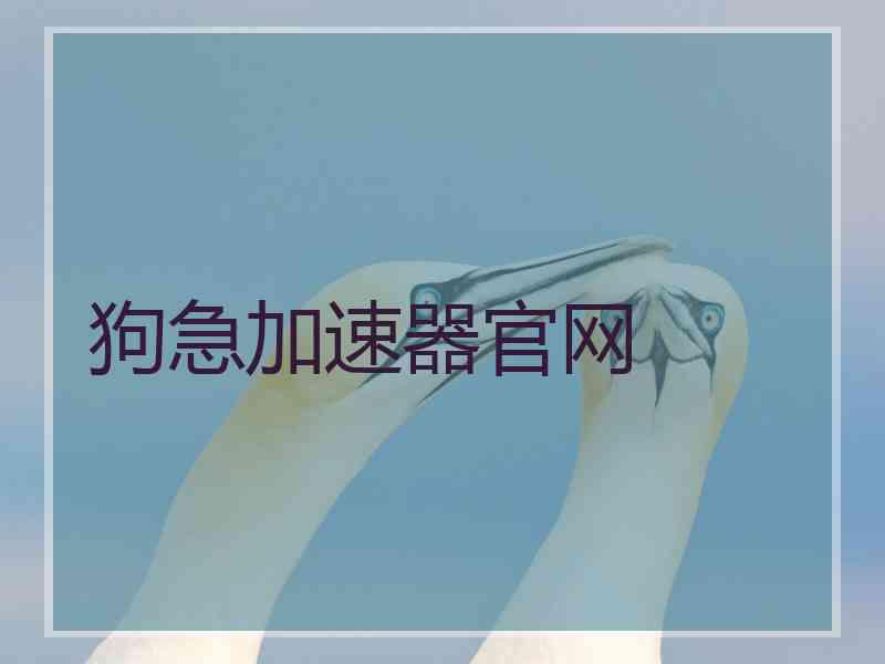 狗急加速器官网