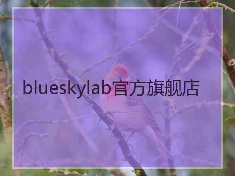 blueskylab官方旗舰店