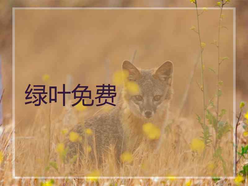 绿叶免费