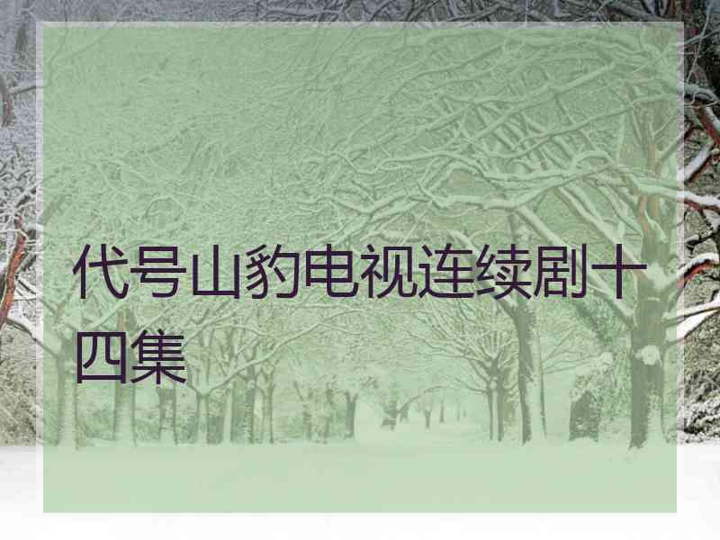 代号山豹电视连续剧十四集