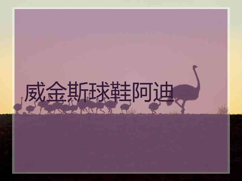 威金斯球鞋阿迪