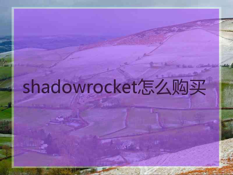 shadowrocket怎么购买