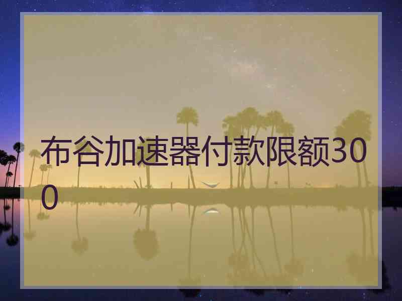 布谷加速器付款限额300