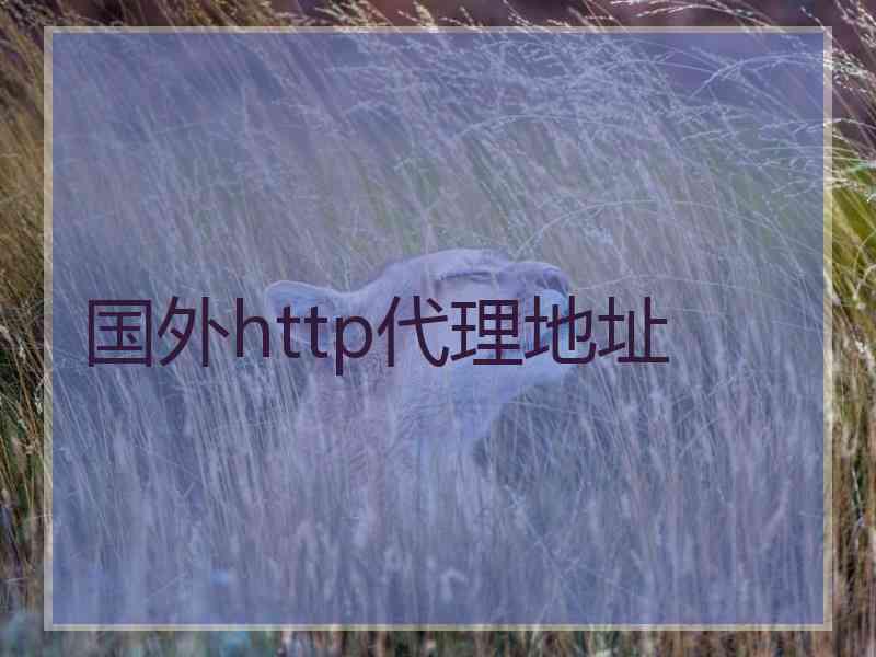 国外http代理地址