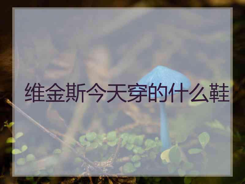 维金斯今天穿的什么鞋