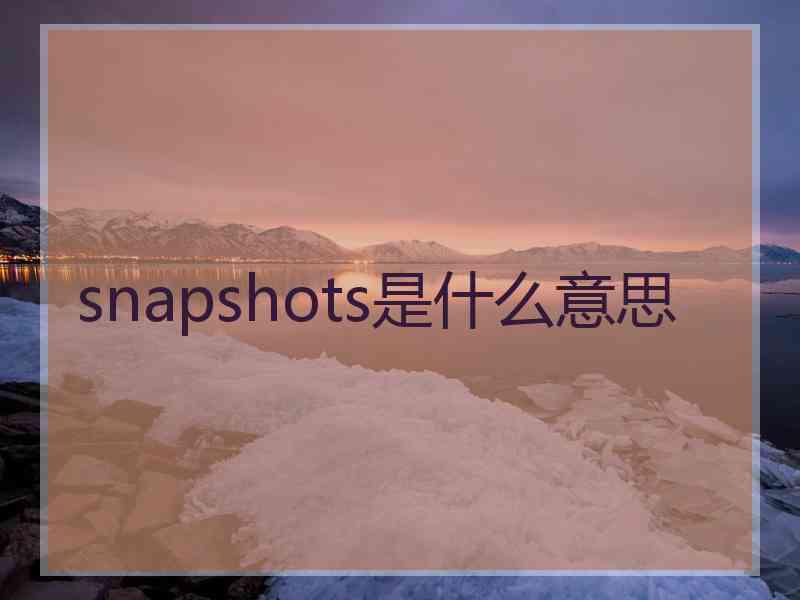 snapshots是什么意思