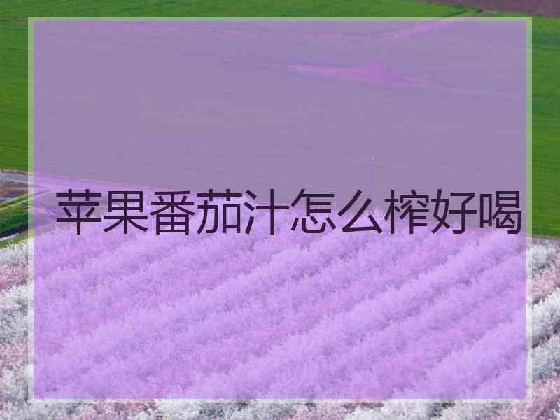苹果番茄汁怎么榨好喝