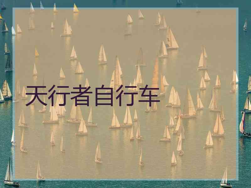天行者自行车