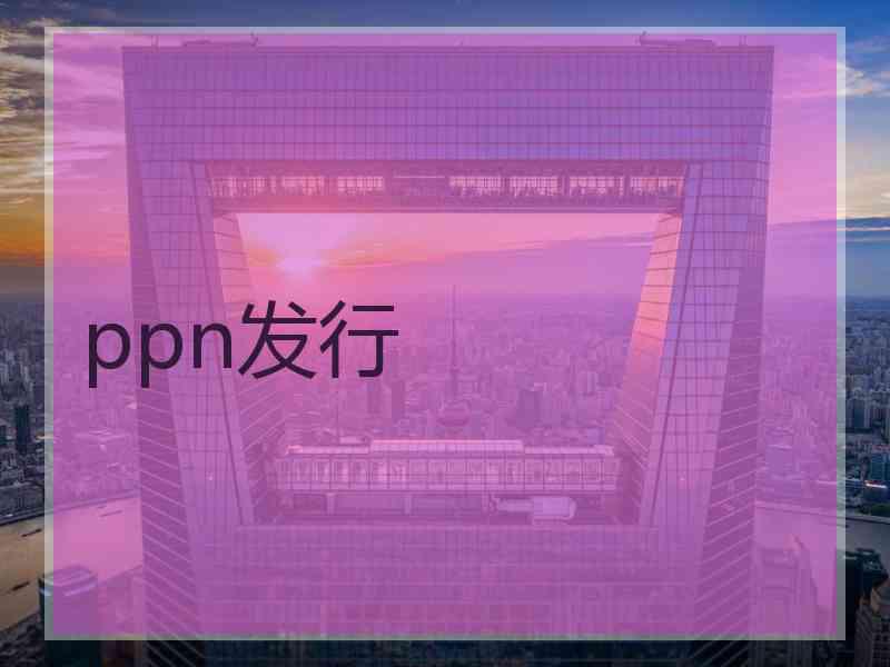 ppn发行
