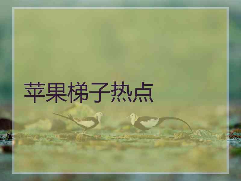 苹果梯子热点
