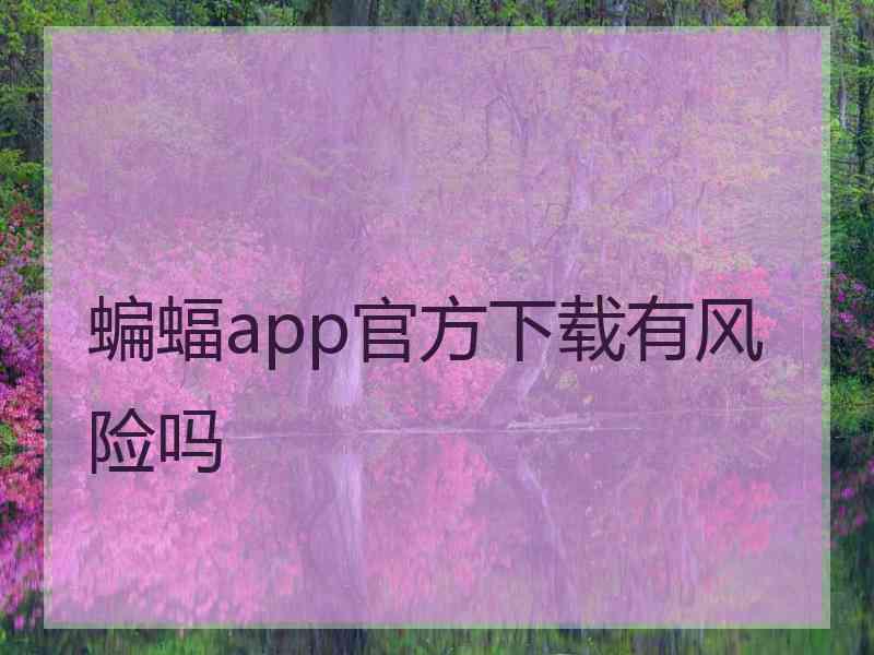 蝙蝠app官方下载有风险吗