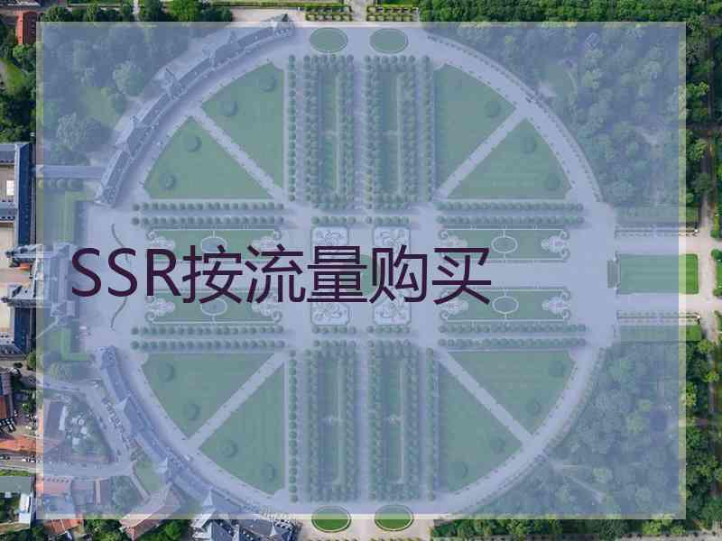 SSR按流量购买