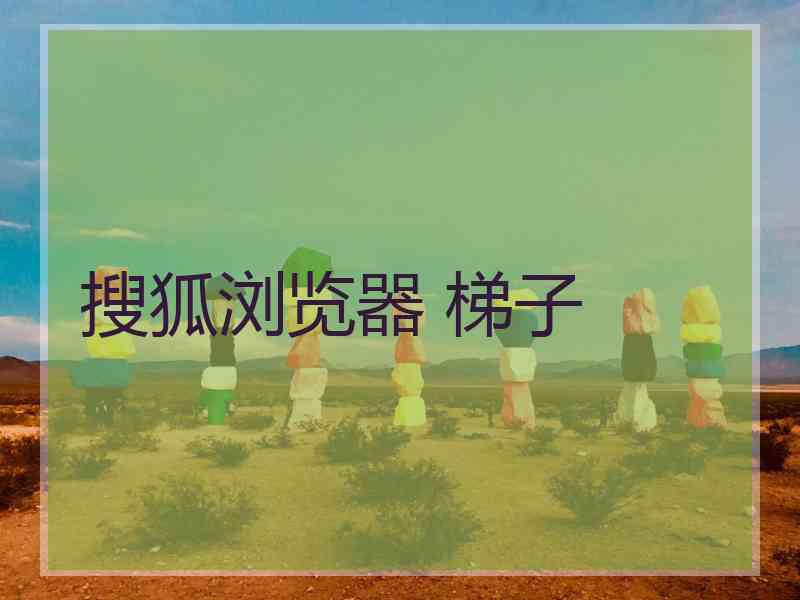 搜狐浏览器 梯子