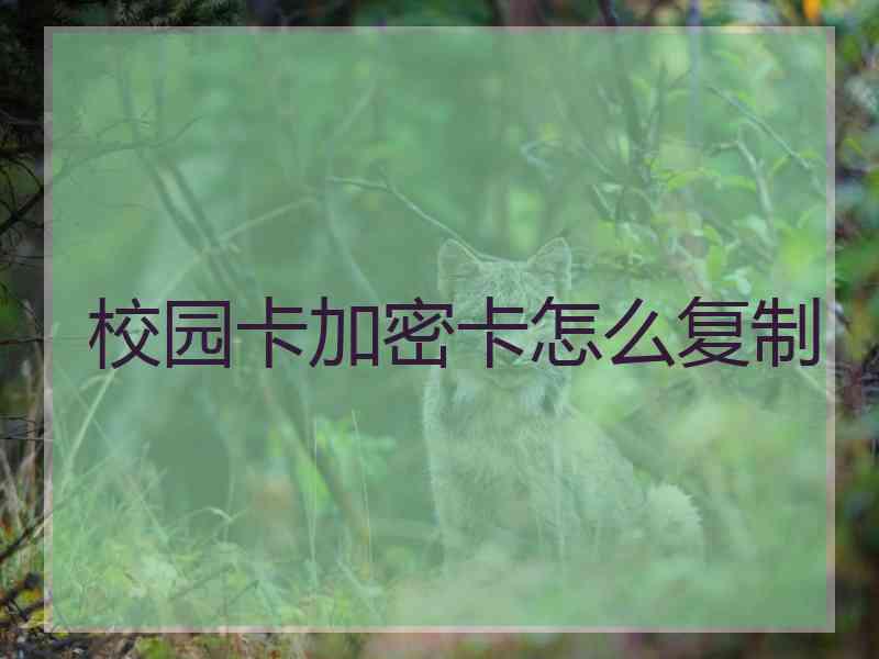 校园卡加密卡怎么复制