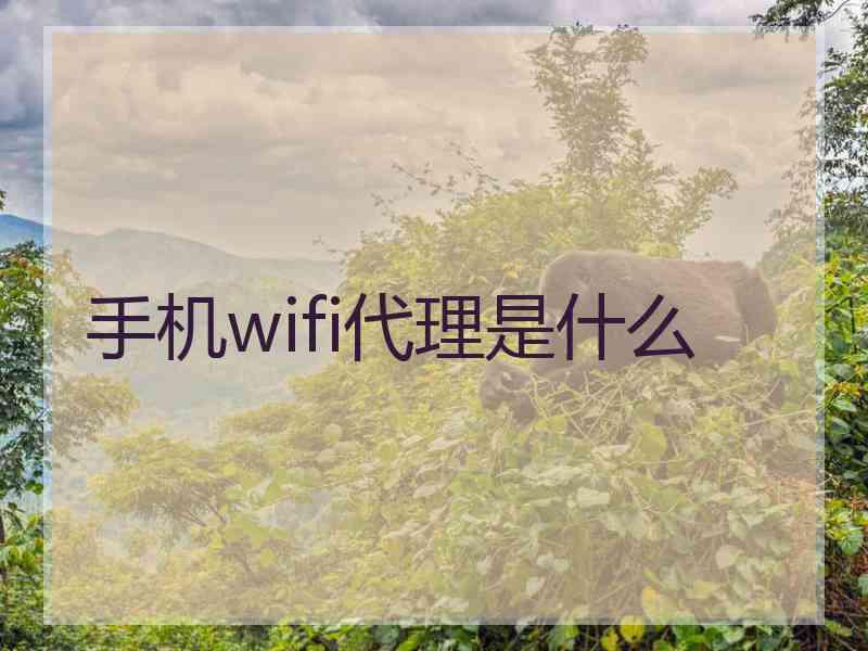 手机wifi代理是什么