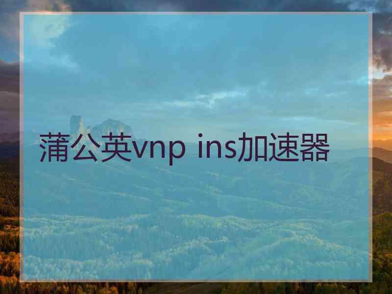 蒲公英vnp ins加速器