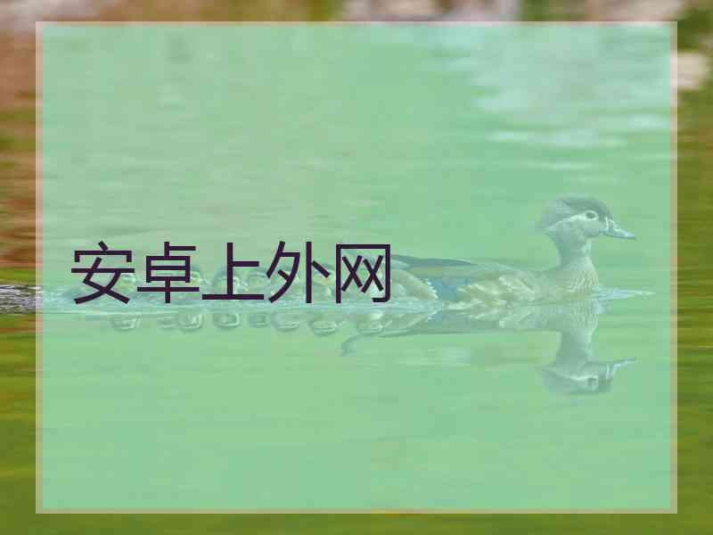 安卓上外网