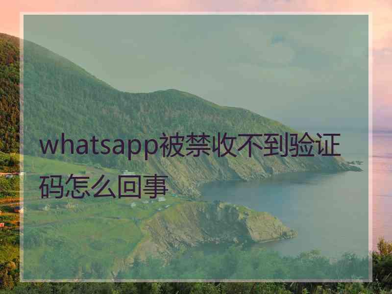 whatsapp被禁收不到验证码怎么回事