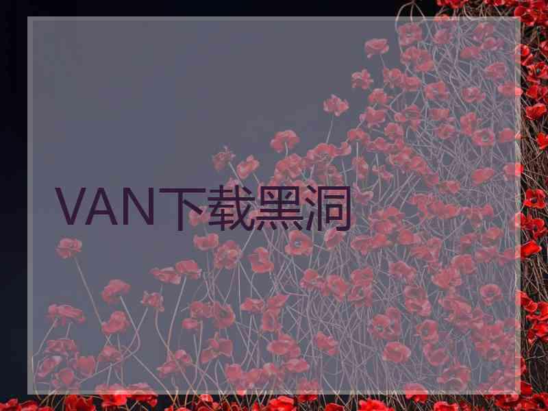 VAN下载黑洞