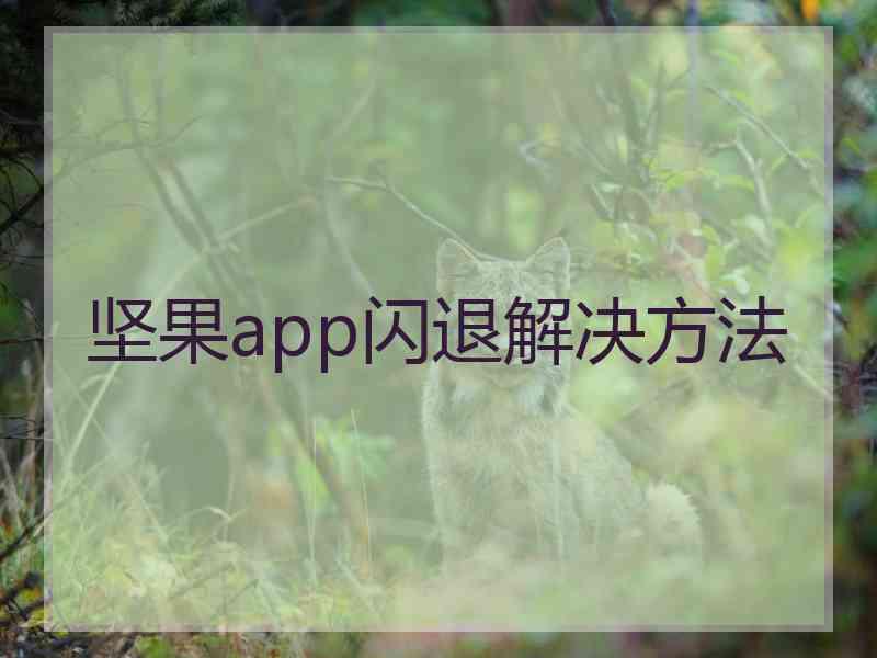 坚果app闪退解决方法