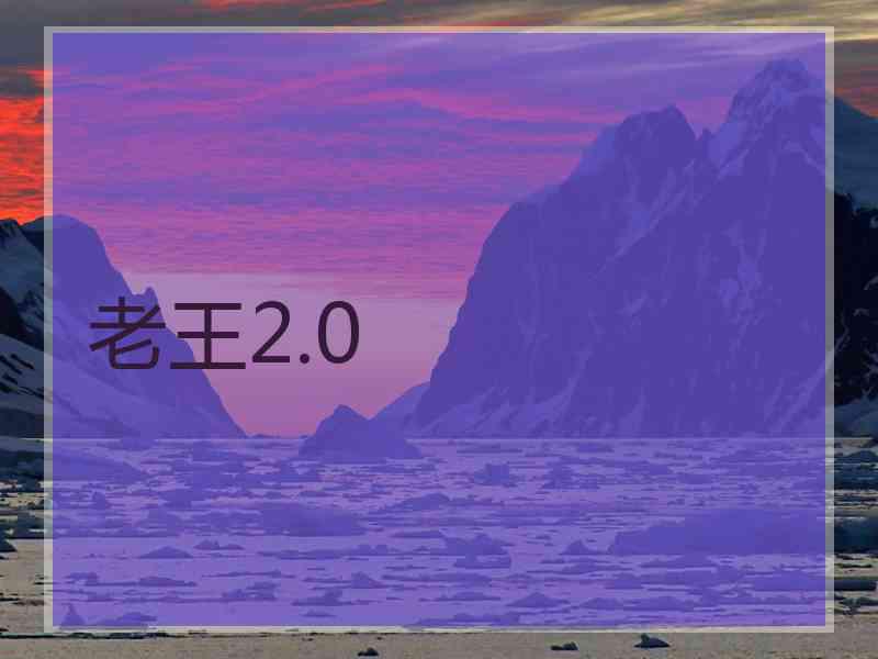 老王2.0