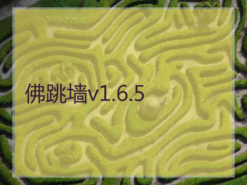 佛跳墙v1.6.5