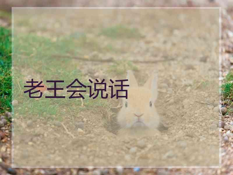 老王会说话