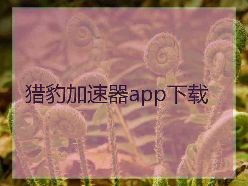 猎豹加速器app下载
