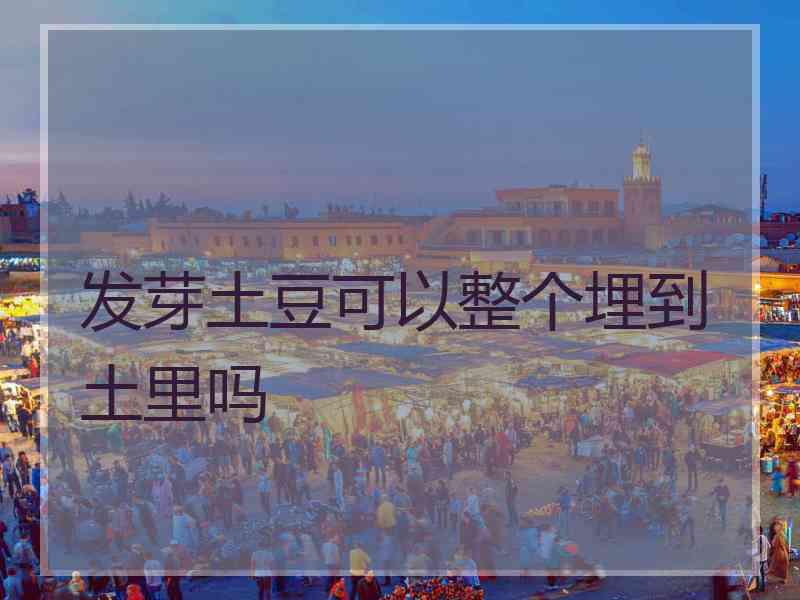 发芽土豆可以整个埋到土里吗