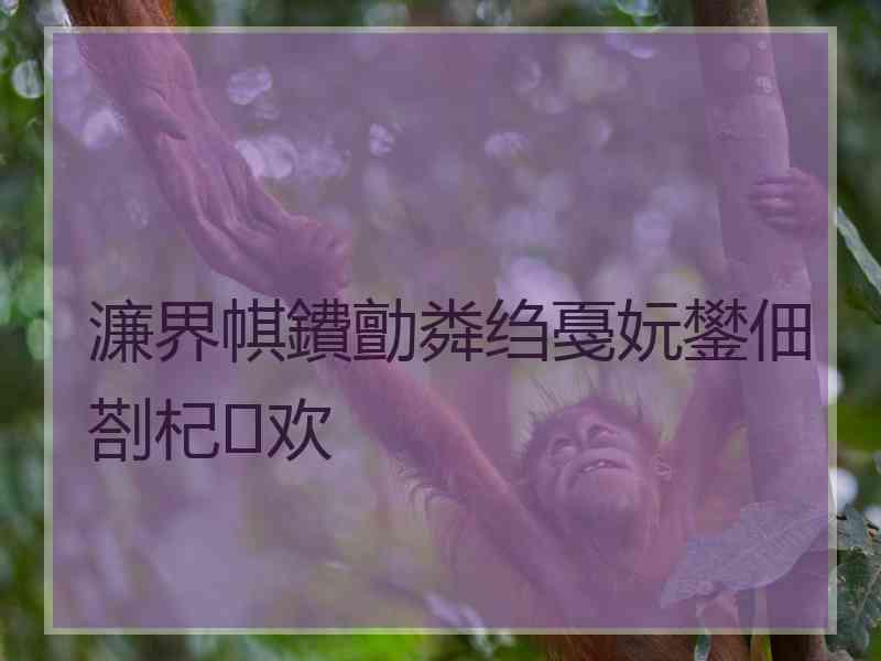 濂界帺鐨勯粦绉戞妧鐢佃剳杞欢