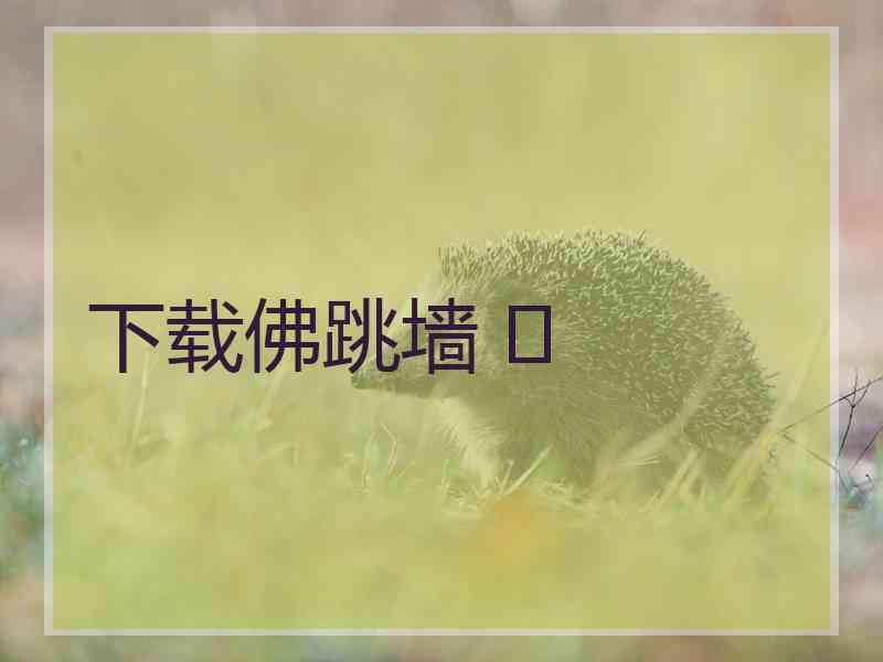 下载佛跳墙 	