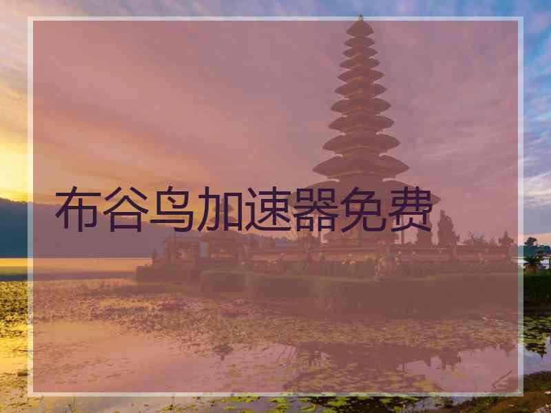 布谷鸟加速器免费