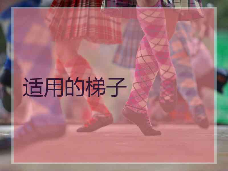 适用的梯子