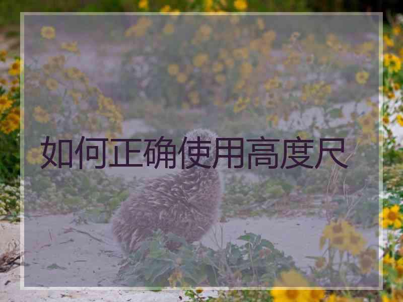如何正确使用高度尺