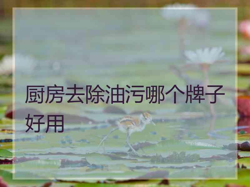 厨房去除油污哪个牌子好用