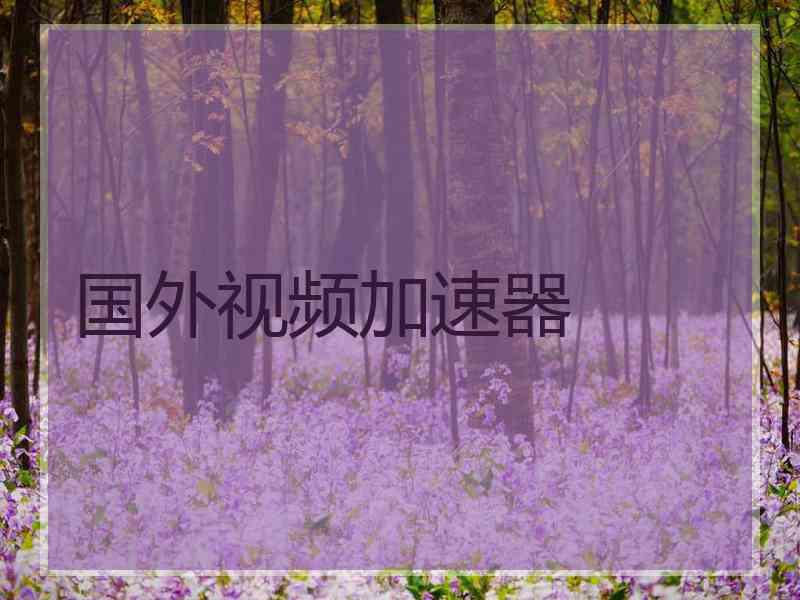 国外视频加速器
