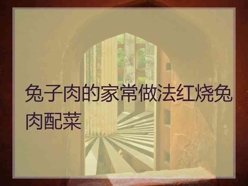 兔子肉的家常做法红烧兔肉配菜