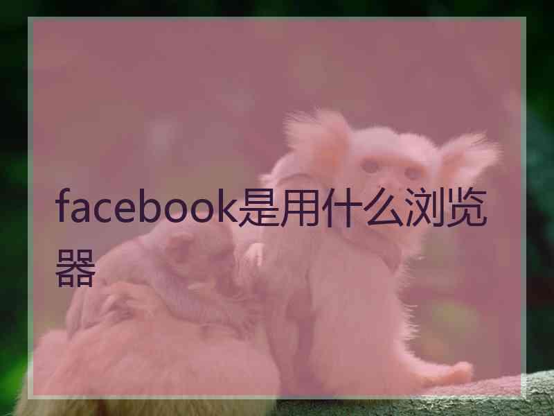 facebook是用什么浏览器