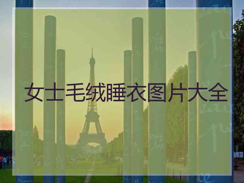 女士毛绒睡衣图片大全