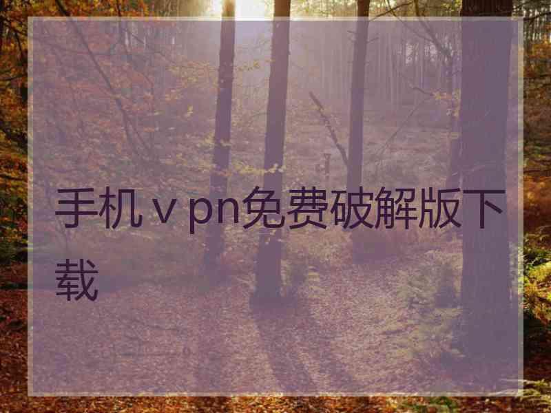手机ⅴpn免费破解版下载
